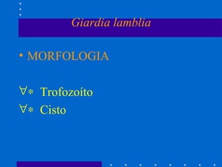 Giardia lamblia MORFOLOGIA    Trofozoíto    Cisto 