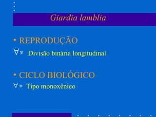 Giardia lamblia REPRODUÇÃO    Divisão binária longitudinal CICLO BIOLÓGICO    Tipo monoxênico 