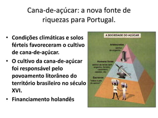 Cana-de-açúcar: a nova fonte de
riquezas para Portugal.
• Condições climáticas e solos
férteis favoreceram o cultivo
de cana-de-açúcar.
• O cultivo da cana-de-açúcar
foi responsável pelo
povoamento litorâneo do
território brasileiro no século
XVI.
• Financiamento holandês
 
