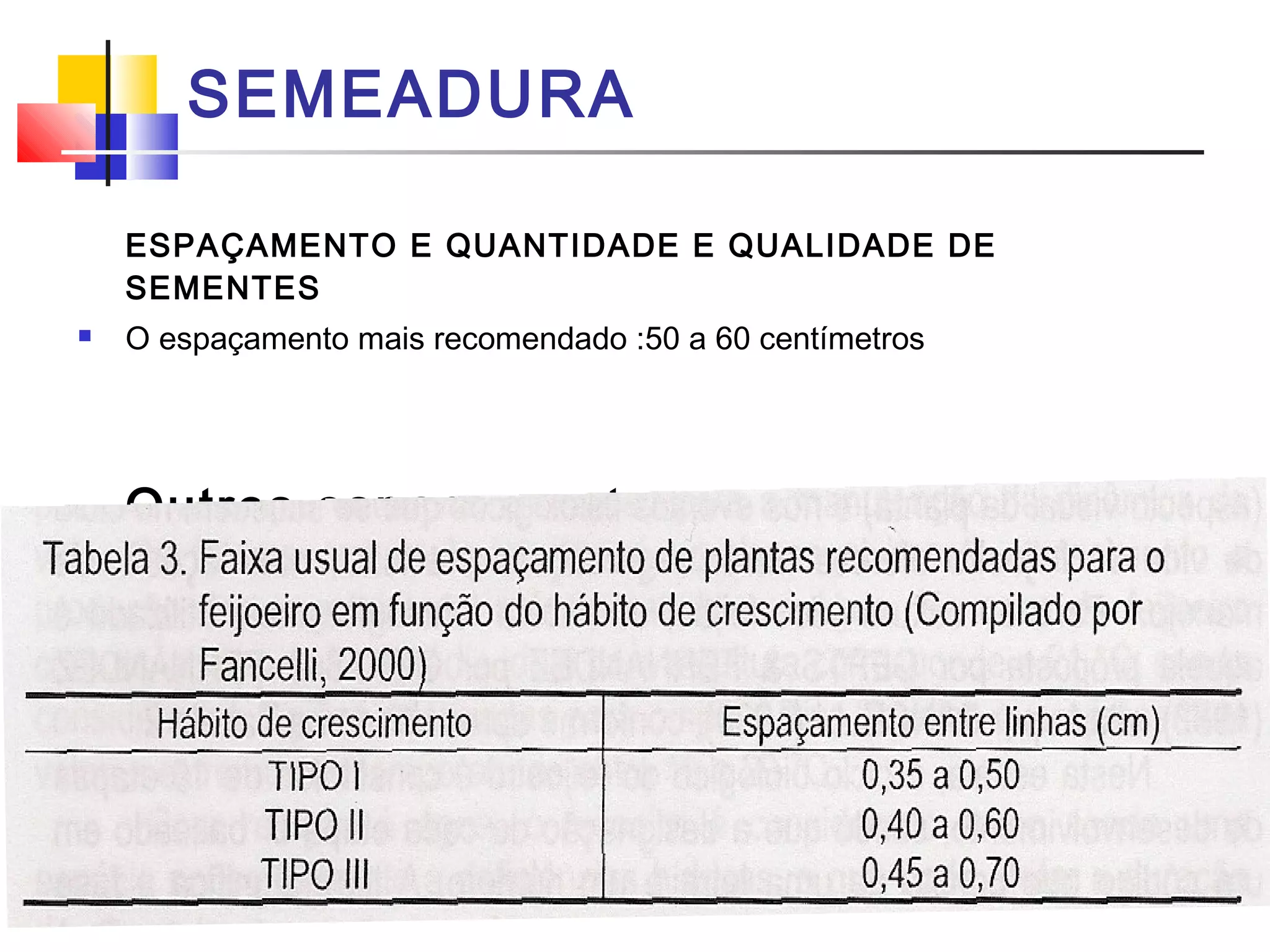 SEMEADURA 
ESPAÇAMENTO E QUANTIDADE E QUALIDADE DE 
SEMENTES 
 O espaçamento mais recomendado :50 a 60 centímetros 
Outros espaçamentos 
 