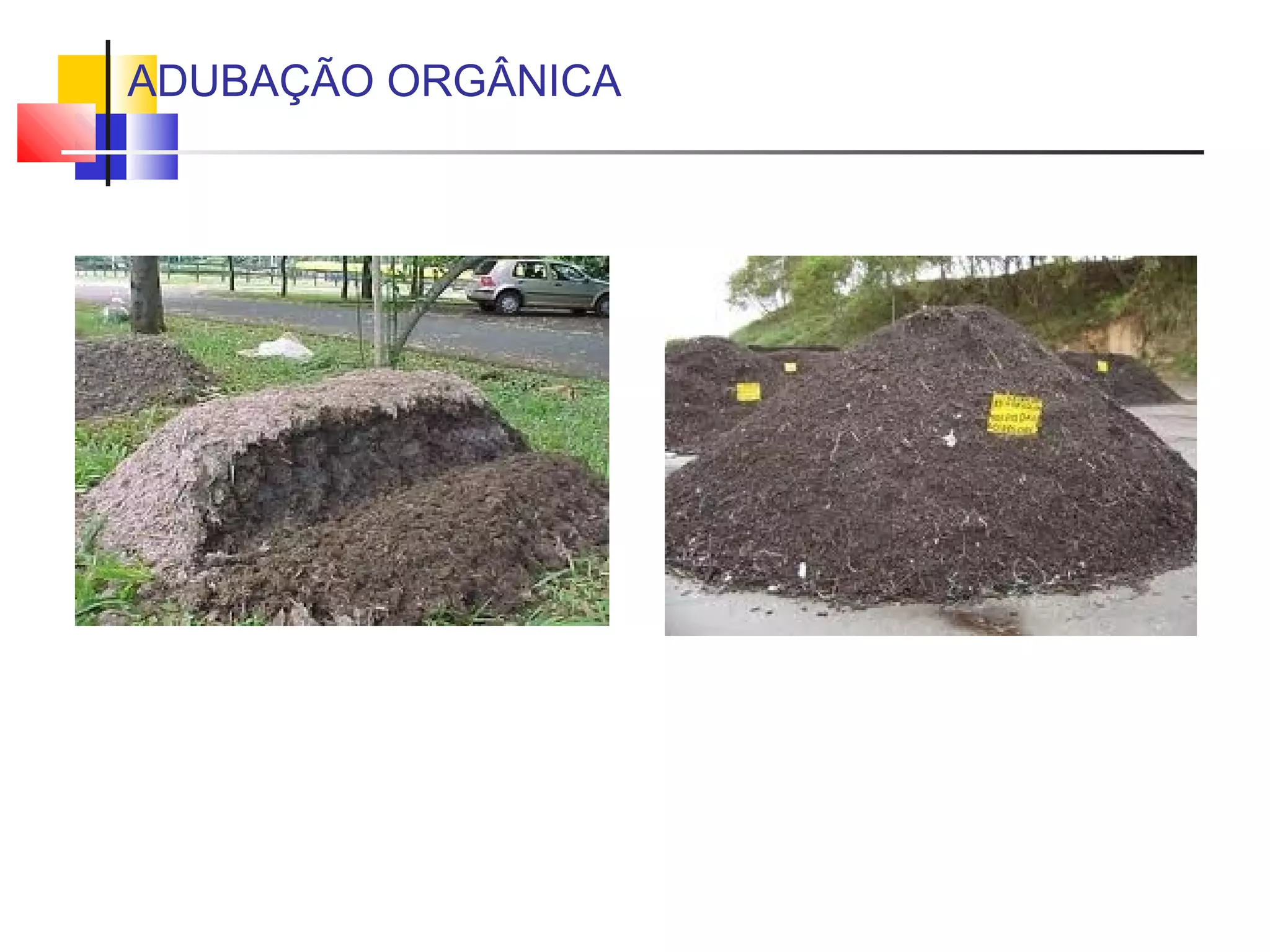 ADUBAÇÃO ORGÂNICA 
 