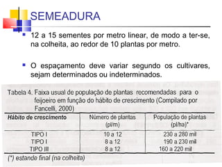SEMEADURA 
 12 a 15 sementes por metro linear, de modo a ter-se, 
na colheita, ao redor de 10 plantas por metro. 
 O espaçamento deve variar segundo os cultivares, 
sejam determinados ou indeterminados. 
 