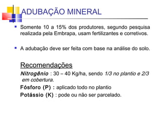ADUBAÇÃO MINERAL 
 Somente 10 a 15% dos produtores, segundo pesquisa 
realizada pela Embrapa, usam fertilizantes e corretivos. 
 A adubação deve ser feita com base na análise do solo. 
Recomendações 
Nitrogênio : 30 – 40 Kg/ha, sendo 1/3 no plantio e 2/3 
em cobertura. 
Fósforo (P) : aplicado todo no plantio 
Potássio (K) : pode ou não ser parcelado. 
 