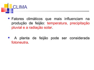 CLIMA 
 Fatores climáticos que mais influenciam na 
produção de feijão: temperatura, precipitação 
pluvial e a radiação solar. 
 A planta de feijão pode ser considerada 
fotoneutra. 
 