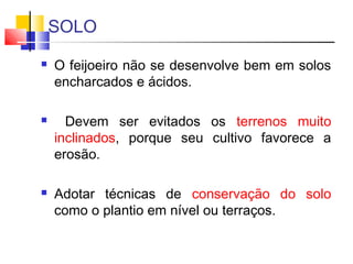 SOLO 
 O feijoeiro não se desenvolve bem em solos 
encharcados e ácidos. 
 Devem ser evitados os terrenos muito 
inclinados, porque seu cultivo favorece a 
erosão. 
 Adotar técnicas de conservação do solo 
como o plantio em nível ou terraços. 
 