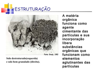 ESTRUTURAÇÃO 
Solo destruturado(esquerda) 
e solo bem granulado (direita). 
A matéria 
orgânica 
funciona como 
agente 
cimentante das 
partículas e sua 
incorporação 
libera 
substâncias 
orgânicas que 
funcionam como 
elementos 
aglutinantes das 
partículas 
 