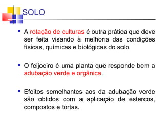 SOLO 
 A rotação de culturas é outra prática que deve 
ser feita visando à melhoria das condições 
físicas, químicas e biológicas do solo. 
 O feijoeiro é uma planta que responde bem a 
adubação verde e orgânica. 
 Efeitos semelhantes aos da adubação verde 
são obtidos com a aplicação de estercos, 
compostos e tortas. 
 