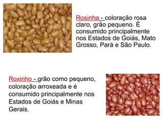 Rosinha - coloração rosa 
claro, grão pequeno. É 
consumido principalmente 
nos Estados de Goiás, Mato 
Grosso, Pará e São Paulo. 
Roxinho - grão como pequeno, 
coloração arroxeada e é 
consumido principalmente nos 
Estados de Goiás e Minas 
Gerais. 
 