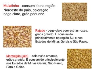 Mulatinho - consumido na região 
Nordeste do país, coloração 
bege claro, grão pequeno. 
Rajado - bege claro com estrias roxas, 
grãos graúdo. É consumido 
principalmente na região Sul e nos 
Estados de Minas Gerais e São Paulo. 
Manteigão (jalo) - coloração amarelo, 
grãos graúdo. É consumido principalmente 
nos Estados de Minas Gerais, São Paulo, 
Pará e Goiás. 
 