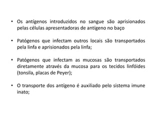• Os antígenos introduzidos no sangue são aprisionados
pelas células apresentadoras de antígeno no baço
• Patógenos que infectam outros locais são transportados
pela linfa e aprisionados pela linfa;
• Patógenos que infectam as mucosas são transportados
diretamente através da mucosa para os tecidos linfóides
(tonsila, placas de Peyer);
• O transporte dos antígeno é auxiliado pelo sistema imune
inato;
 