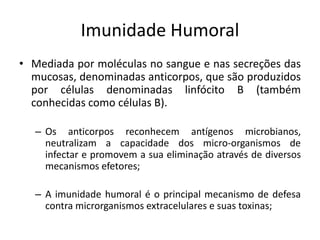 Imunidade Humoral
• Mediada por moléculas no sangue e nas secreções das
mucosas, denominadas anticorpos, que são produzidos
por células denominadas linfócito B (também
conhecidas como células B).
– Os anticorpos reconhecem antígenos microbianos,
neutralizam a capacidade dos micro-organismos de
infectar e promovem a sua eliminação através de diversos
mecanismos efetores;
– A imunidade humoral é o principal mecanismo de defesa
contra microrganismos extracelulares e suas toxinas;
 