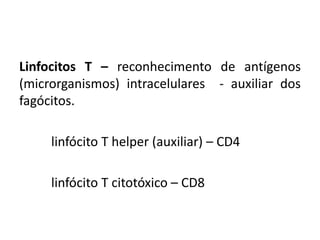 Linfocitos T – reconhecimento de antígenos
(microrganismos) intracelulares - auxiliar dos
fagócitos.
linfócito T helper (auxiliar) – CD4
linfócito T citotóxico – CD8
 