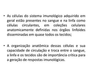 • As células do sistema imunológico adquirido em
geral estão presentes no sangue e na linfa como
células circulantes, em coleções celulares
anatomicamente definidas nos órgãos linfoides
disseminadas em quase todos os tecidos;
• A organização anatômica dessas células e sua
capacidade de circulação e troca entre o sangue,
a linfa e os tecidos são de importância crítica para
a geração de respostas imunológicas.
 