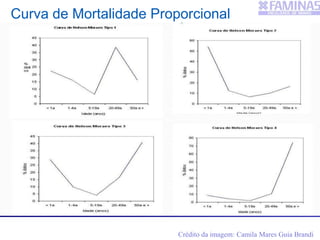Curva de Mortalidade Proporcional
Crédito da imagem: Camila Mares Guia Brandi
 