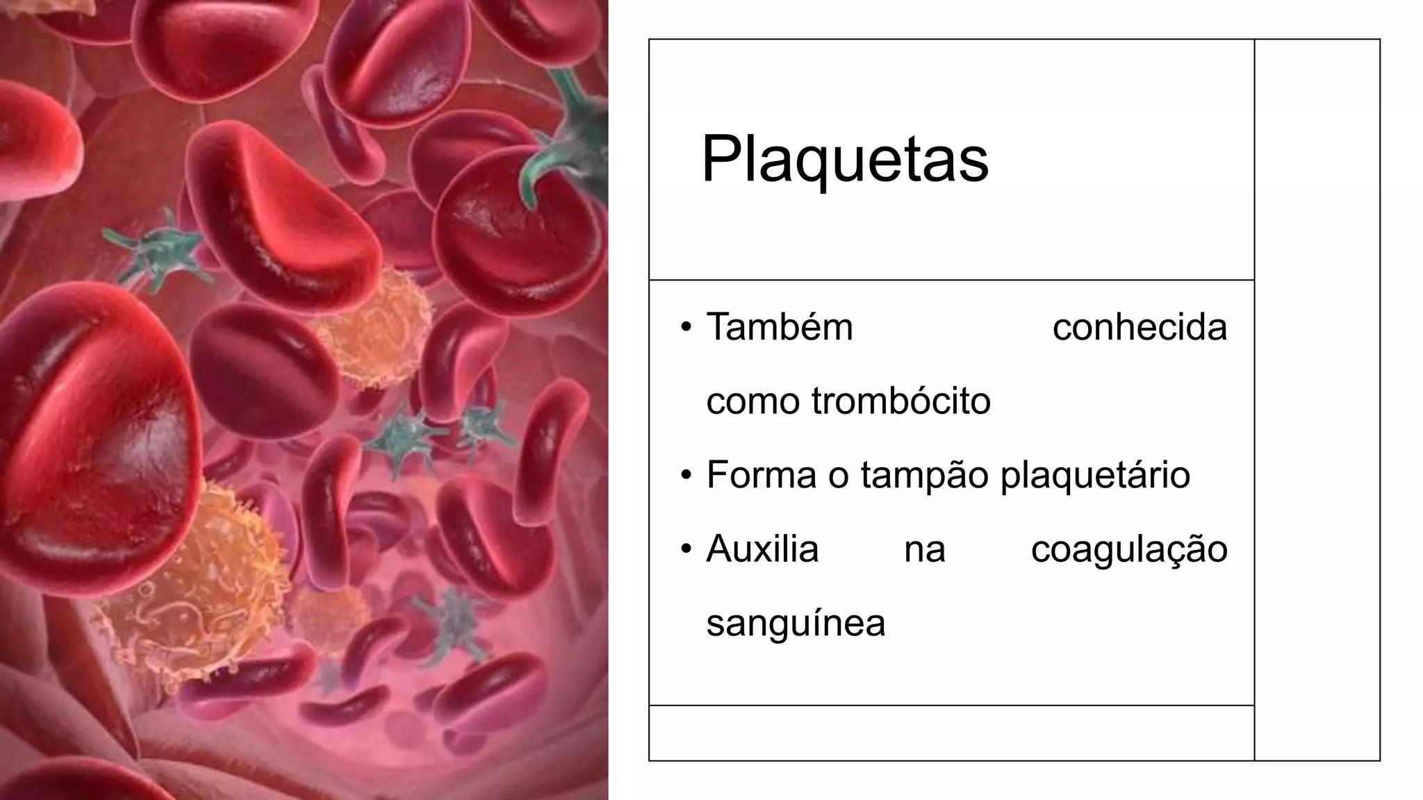 Plaquetas
• Também conhecida
como trombócito
• Forma o tampão plaquetário
• Auxilia na coagulação
sanguínea
 