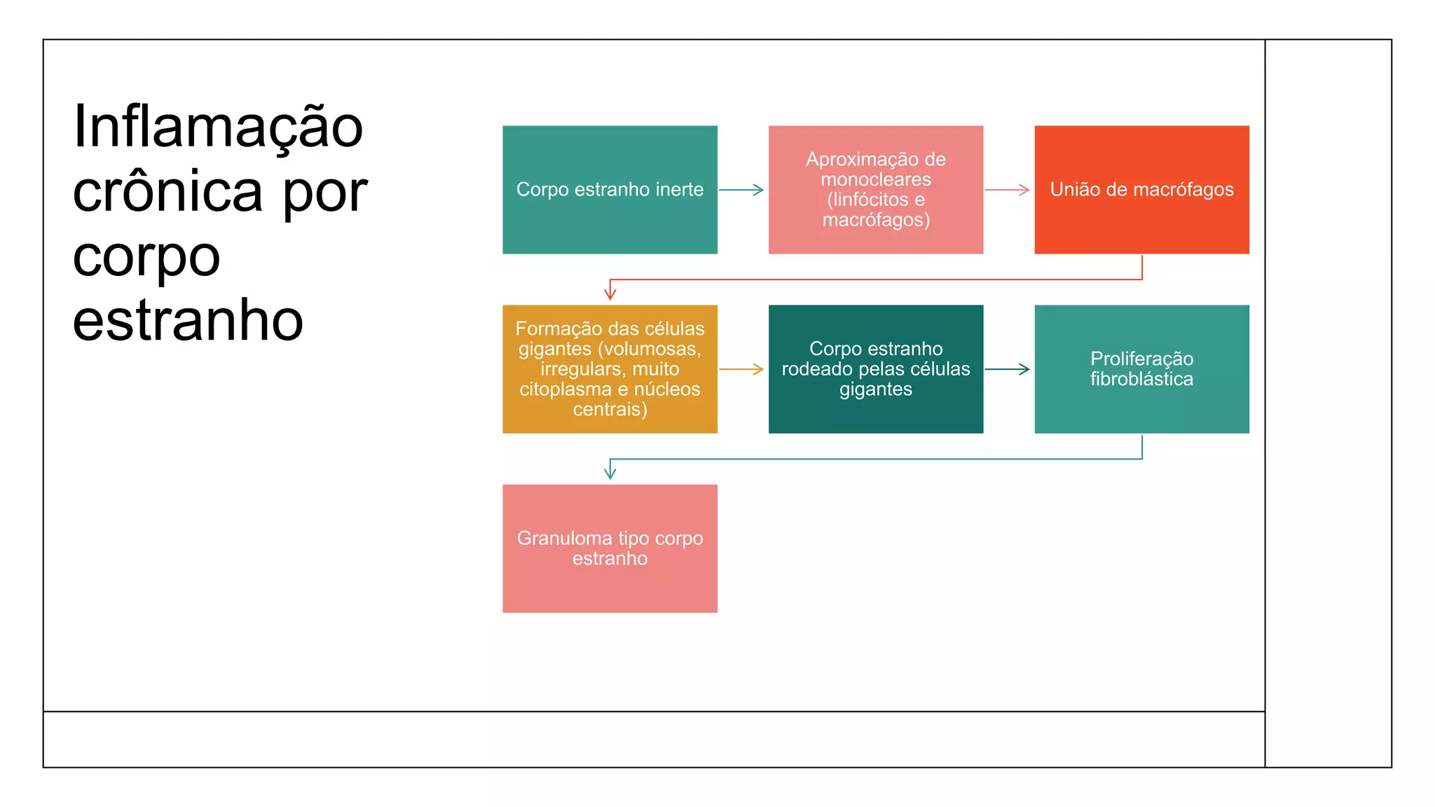 Inflamação
crônica por
corpo
estranho
Corpo estranho inerte
Aproximação de
monocleares
(linfócitos e
macrófagos)
União de macrófagos
Formação das células
gigantes (volumosas,
irregulars, muito
citoplasma e núcleos
centrais)
Corpo estranho
rodeado pelas células
gigantes
Proliferação
fibroblástica
Granuloma tipo corpo
estranho
 