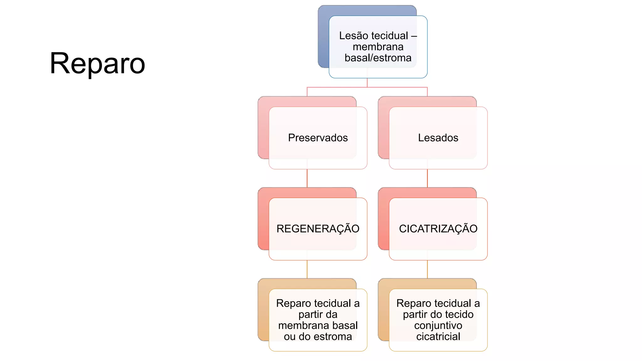 Reparo
Lesão tecidual –
membrana
basal/estroma
Preservados
REGENERAÇÃO
Reparo tecidual a
partir da
membrana basal
ou do estroma
Lesados
CICATRIZAÇÃO
Reparo tecidual a
partir do tecido
conjuntivo
cicatricial
 