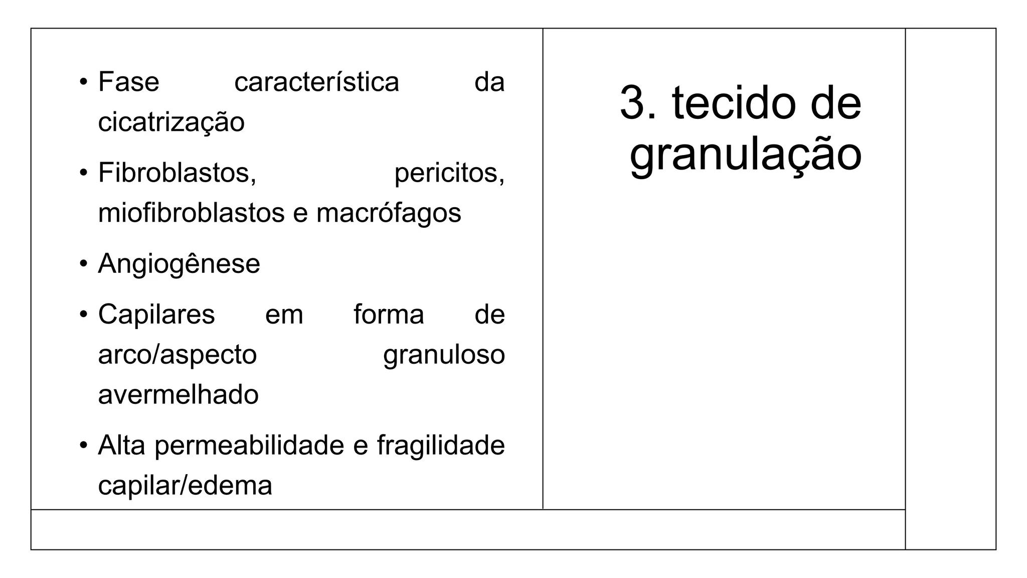 3. tecido de
granulação
• Fase característica da
cicatrização
• Fibroblastos, pericitos,
miofibroblastos e macrófagos
• Angiogênese
• Capilares em forma de
arco/aspecto granuloso
avermelhado
• Alta permeabilidade e fragilidade
capilar/edema
 