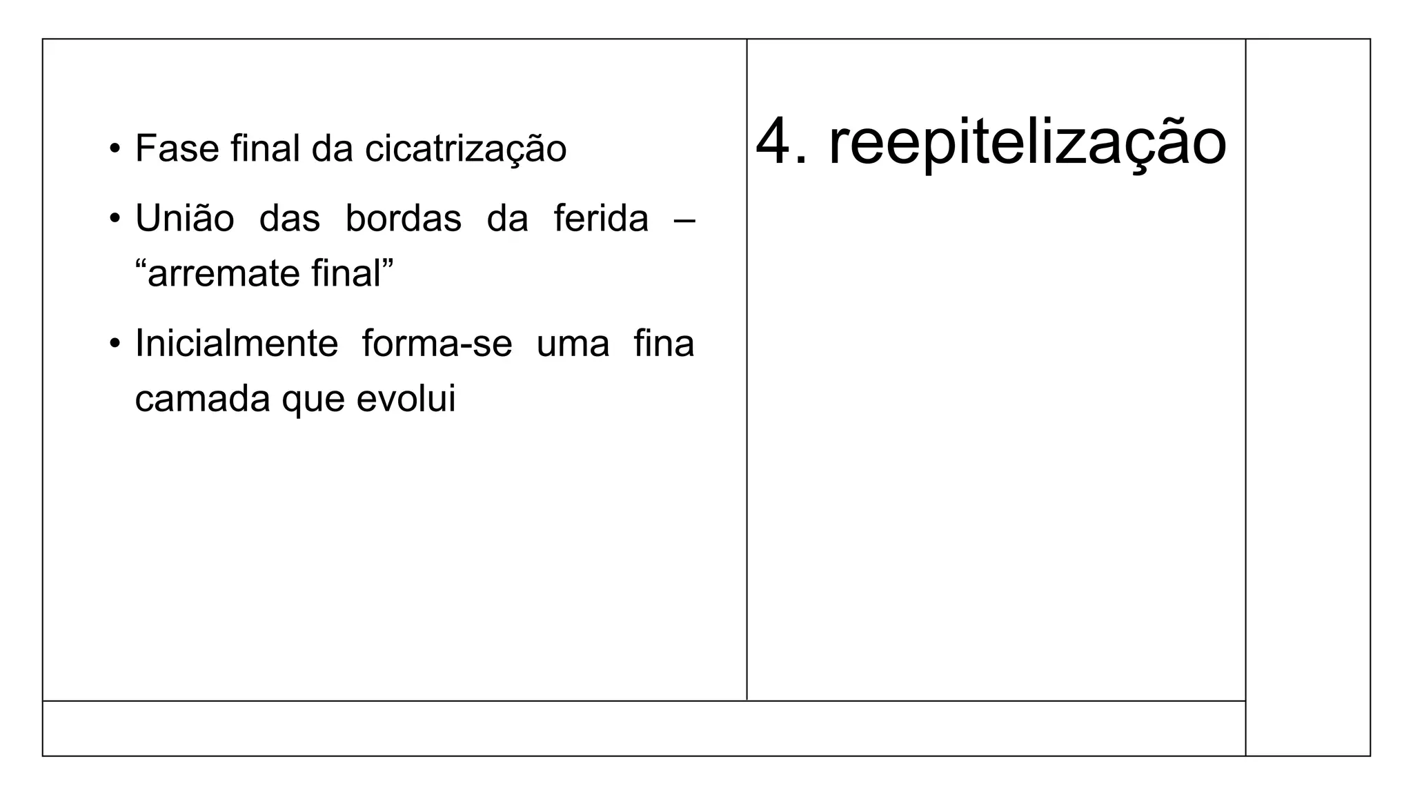 4. reepitelização
• Fase final da cicatrização
• União das bordas da ferida –
“arremate final”
• Inicialmente forma-se uma fina
camada que evolui
 