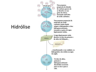 Hidrólise