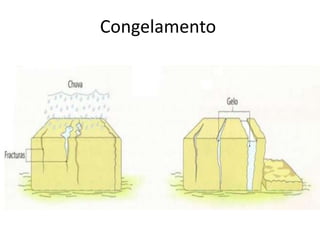 Congelamento
