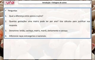 Introdução + linhagens de suínos
• Perguntas
1. Qual a diferença entre porco e suíno?
2. Quantas gestações uma matriz pode ter por ano? Use cálculos para justificar sua
resposta.
3. Denomine: leitão, cachaço, matriz, marrã, aleitamento e carcaça.
4. Diferencie raças estrangerias e nacionais.
 