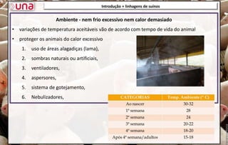 Ambiente - nem frio excessivo nem calor demasiado
• variações de temperatura aceitáveis vão de acordo com tempo de vida do animal
• proteger os animais do calor excessivo
1. uso de áreas alagadiças (lama),
2. sombras naturais ou artificiais,
3. ventiladores,
4. aspersores,
5. sistema de gotejamento,
6. Nebulizadores,
Introdução + linhagens de suínos
4.
 