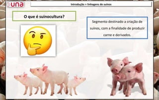 Introdução + linhagens de suínos
O que é suinocultura?
Segmento destinado a criação de
suínos, com a finalidade de produzir
carne e derivados.
 