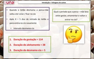 • Quando o leitão desmama a porca-mãe
volta a ter ciclar / ficar no cio
• Após 4 – 5 dias de retirada do leitão a
porca entra no cio novamente
• Intervalo desmame-cio
Introdução + linhagens de suínos
Qual o período que a porca – mãe leva
entre gestar, amamentar e voltar a
entrar no cio?
1. Duração da gestação = 114
2. Duração do aleitamento = 28
3. Duração do desmame-cio = 5
 