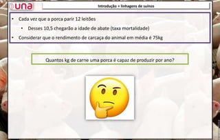 • Cada vez que a porca parir 12 leitões
• Desses 10,5 chegarão a idade de abate (taxa mortalidade)
• Considerar que o rendimento de carcaça do animal em média é 75kg
Introdução + linhagens de suínos
Quantos kg de carne uma porca é capaz de produzir por ano?
 