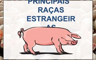 PRINCIPAIS
RAÇAS
ESTRANGEIR
AS
 