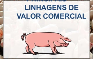 PRINCIPAIS
LINHAGENS DE
VALOR COMERCIAL
 