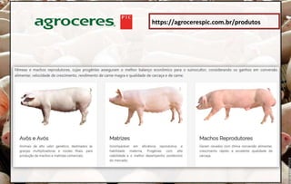 https://agrocerespic.com.br/produtos
 