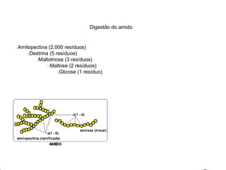 Digestão do amido 
Amilopectina (2.000 resíduos) 
Dextrina (5 resíduos) 
Maltotriose (3 resíduos) 
Maltose (2 resíduos) 
Glicose (1 resíduo) 
 