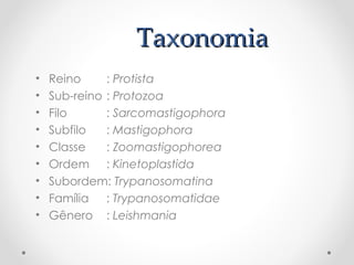 TaxonomiaTaxonomia
• Reino : Protista
• Sub-reino : Protozoa
• Filo : Sarcomastigophora
• Subfilo : Mastigophora
• Classe : Zoomastigophorea
• Ordem : Kinetoplastida
• Subordem: Trypanosomatina
• Família : Trypanosomatidae
• Gênero : Leishmania
 