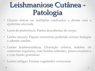 Leishmaniose Cutânea -Leishmaniose Cutânea -
PatologiaPatologia
• Úlceras únicas ou múltiplas confnadas a derme com a
epiderme ulcerada
• Local de preferência: Partes descobertas do corpo.
• Lesões iniciais: Pápulo-vesiculoso podendo ocorrer linfagite
e adenite satélite.
• Lesões leishmanióticas: Ulceração crônica, indolor, de
contornos regulares, com bordas salientes, pouco exudativa
e com fundo granuloso.
• Lesões antigas: Formas vegetantes verrucosas
 