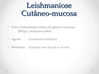• Vetor: Flebotomídeo fêmea do gênero Lutomyia P
(Birigui, mosquito-palha)
• Agente : Leishmania Pbrasiliensis
• Sinonímia : Espúndia, nariz de tapir ou de anta
LeishmanioseLeishmaniose
Cutâneo-mucosaCutâneo-mucosa
Sinonímia é a relação entre palavras de significado semelhante
 