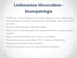 Leishmaniose Mucocutânea -Leishmaniose Mucocutânea -
ImunopatologiaImunopatologia
• Verifca-se o desenvolvimento de lesões algumas vezes desfgurantes
nas cartilagens ou junções mucocutâneas da laringe, septo nasal, ânus
ou vulva.
• Ocorre também edema e infltração celular.
• Pode ocorrer ainda hiperqueratose (espessamento da camada córnea) e
acantose.
• Segue-se lesão secundária nas mucosas e cartilagens.
• Predomina resposta imunológica Th1 – Citocinas infamatórias
• Resposta imunecelular está exacerbada
• Níveis de anticorpos baixo ou discretamente aumentada
 