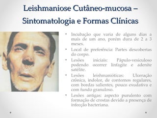 Leishmaniose Cutâneo-mucosa –Leishmaniose Cutâneo-mucosa –
Sintomatologia e Formas ClínicasSintomatologia e Formas Clínicas
• Incubação que varia de alguns dias a
mais de um ano, porém dura de 2 a 3
meses.
• Local de preferência: Partes descobertas
do corpo.
• Lesões iniciais: Pápulo-vesiculoso
podendo ocorrer linfagite e adenite
satélite.
• Lesões leishmanióticas: Ulceração
crônica, indolor, de contornos regulares,
com bordas salientes, pouco exudativa e
com fundo granuloso.
• Lesões antigas: aspecto purulento com
formação de crostas devido a presença de
infecção bacteriana.
 