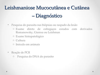 Leishmaniose Mucocutânea e CutâneaLeishmaniose Mucocutânea e Cutânea
– Diagnóstico– Diagnóstico
• Pesquisa do parasita nas biópsias ou raspado da lesão
o Exame direto de esfregaços corados com derivados
Romanowsky, Giemsa ou Leishman
o Exame histopatológico
o Cultura
o Inóculo em animais
• Reação de PCR
o Pesquisa do DNA do parasito
 