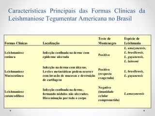Formas Clínicas Localização
Teste de
Montenegro
Espécie de
Leishmania
Leishmaniose
cutânea
Infecção confinada na derme com
epiderme ulcerada
Positivo
L. amazonensis,
L. brasiliensis,
L. guyanensis,
L. lainsoni
Leishmaniose
Mucocutânea
Infecção na derma com úlceras.
Lesões metastáticas podem ocorrer
com invasão de mucosas e destruição
de cartilagem
Positivo
(resposta
exagerada)
L. brasiliensis,
L. guyanensis
Leishmaniose
cutaneodifusa
Infecção confinada na derme,
formando nódulos não ulcerados.
Disseminação por todo o corpo
Negativo
(imunidade
celular
comprometida)
L.amazonensis
Características Principais das Formas Clínicas da
Leishmaniose Tegumentar Americana no Brasil
nao tem úlceras
principal teste
 