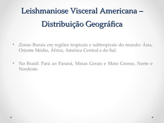 Leishmaniose Visceral Americana –Leishmaniose Visceral Americana –
Distribuição GeográfcaDistribuição Geográfca
• Zonas Rurais em regiões tropicais e subtropicais do mundo: Ásia,
Oriente Médio, África, América Central e do Sul.
• No Brasil: Pará ao Paraná, Minas Gerais e Mato Grosso, Norte e
Nordeste.
 