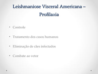 Leishmaniose Visceral Americana –Leishmaniose Visceral Americana –
ProflaxiaProflaxia
• Controle
• Tratamento dos casos humanos
• Eliminação de cães infectados
• Combate ao vetor
 