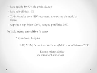 - Fase aguda 80-90% de positividade
- Fase sub-clínica 10%
- Co-infectados com HIV recomendado exame de medula
óssea
- Aspirado esplênico 100 %, sangue periférica 30%
b) Isolamento em cultivo in vitro
Aspirado ou biopsia
LIT, MEM, Schneider’s e Evans (Meio monofásico) a 26ºC
Exame microscópico
( 2x semana/4 semanas)
a doença ainda nao está em seu estado potencial
 