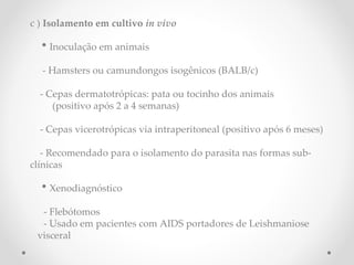 c ) Isolamento em cultivo in vivo
• Inoculação em animais
- Hamsters ou camundongos isogênicos (BALB/c)
- Cepas dermatotrópicas: pata ou tocinho dos animais
(positivo após 2 a 4 semanas)
- Cepas vicerotrópicas via intraperitoneal (positivo após 6 meses)
- Recomendado para o isolamento do parasita nas formas sub-
clínicas
• Xenodiagnóstico
- Flebótomos
- Usado em pacientes com AIDS portadores de Leishmaniose
visceral
os primeiros sinais acorrem de 2 a 4 semanas
é a ultilização de flebótomos
são os nomes dos vetores
 