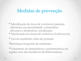 Medidas de prevenção
• Identifcação de focos de Leishmania P(animais
infectados em proximidade a domicílios:
silvestres e domésticos: erradicação
• Imunização em massa de cachorros (Leishvaccin)
• Uso de repelentes, telas de proteção
•Borrifação frequente de ambientes
•Tratamento de sintomáticos e assintomáticos em
regiões com alta incidência de febotomíneos
 