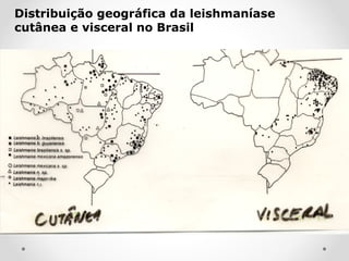 Distribuição geográfica da leishmaníase
cutânea e visceral no Brasil
 