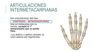 ARTICULACIONES
INTERMETACARPIANAS
Son articulaciones del tipo:
Une un metacarpo con su
vecino, excepto el 1º
metacarpiano que se queda
libre.
Las diáfisis y epífisis distales se
unen apenas por ligamentos
DIARTROSIS – ARTRODIAS(PLANAS)
 