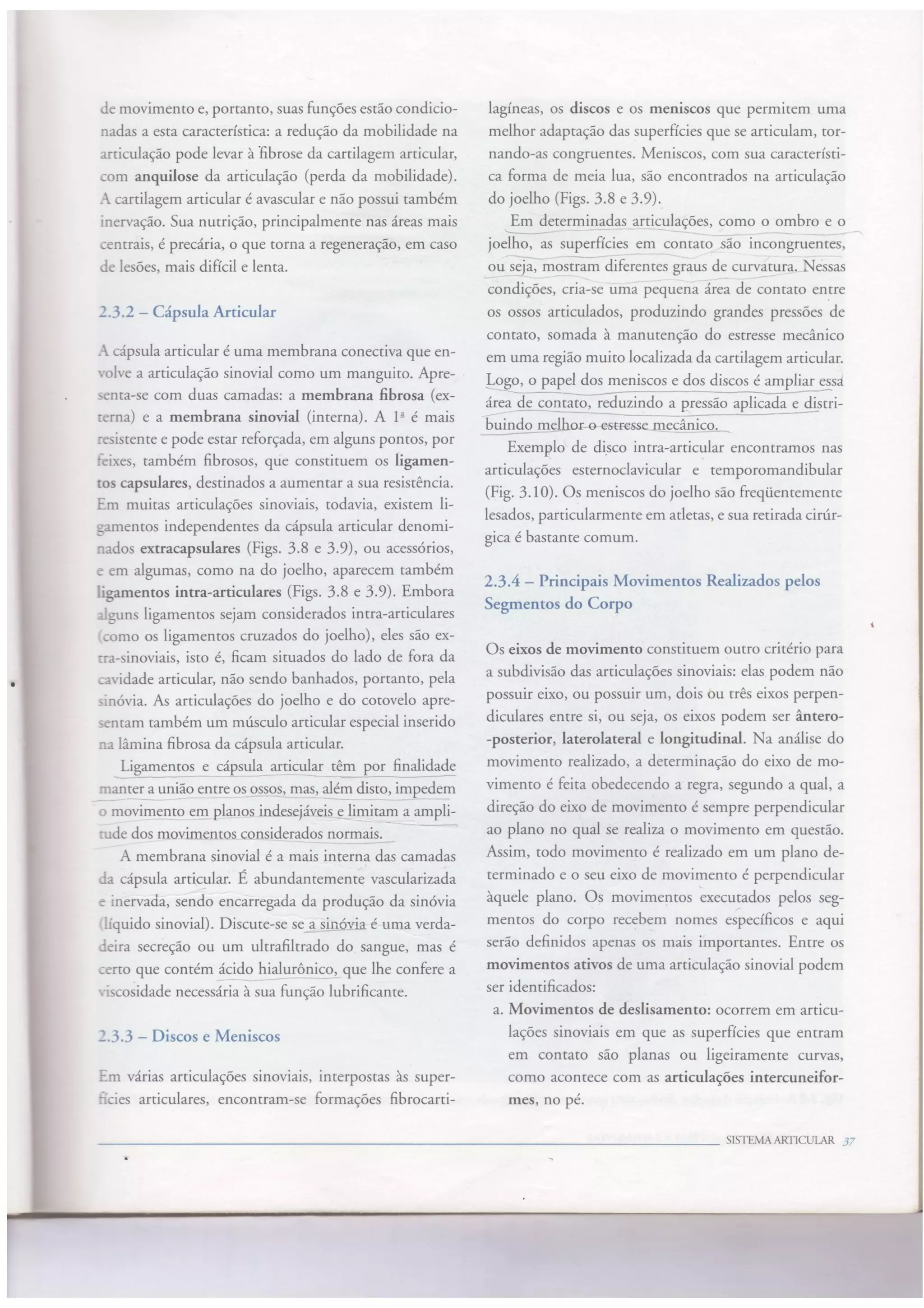 Principais movimentos realizados pelos segmentos do corpo - movimentos