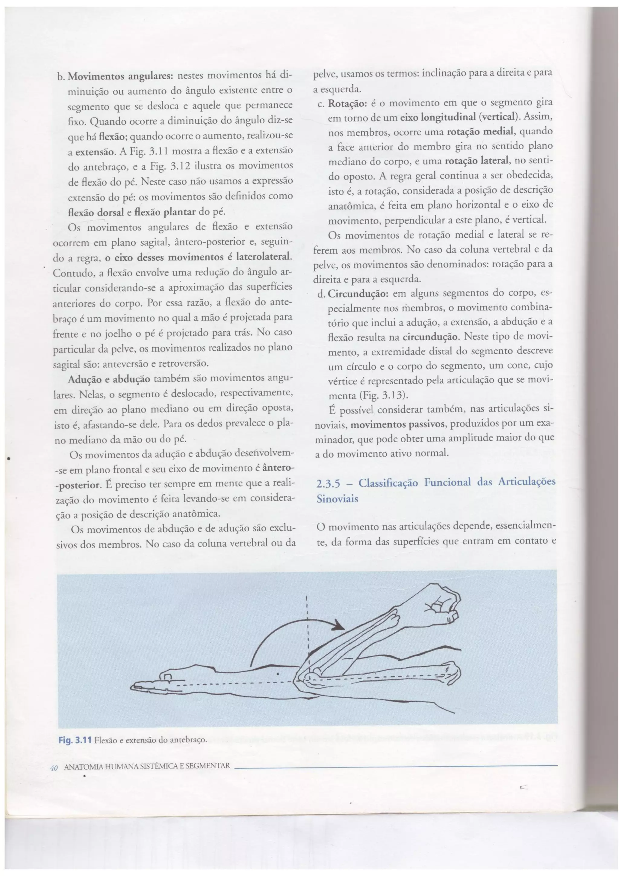 Principais movimentos realizados pelos segmentos do corpo - movimentos